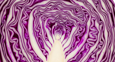 Obraz premium red cabbage background