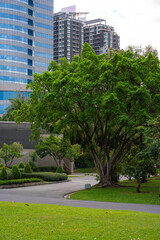 Obraz premium Green city park with modern office building