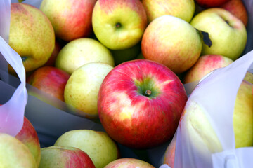 Fresh Picked Autumn Apples in Red and Green