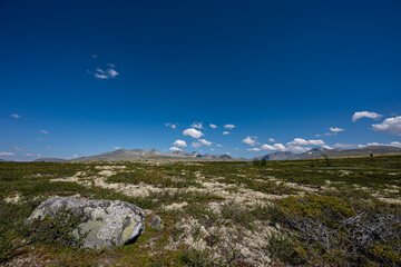Rondane National Park, Norway – mountain plateau with hiking trail under blue sky