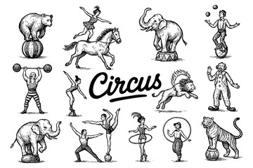 Vintage circus performers and animals in classic engraving style, Transparent Background © SenorPinky