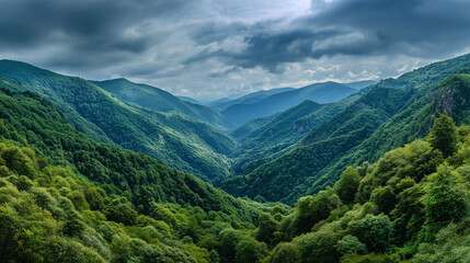 Fototapeta premium Lush green mountains with forest-covered slopes, daylight, partly cloudy sky, peaceful and fresh natural background