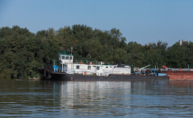 Tugboat stationed by a serene riverbank on a sunny day