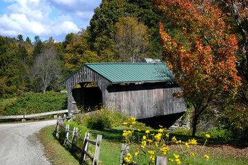 Orange Leaves and Flowers Besides Bridge