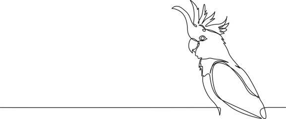 continuous single line drawing of a parrot, line art vector illustration