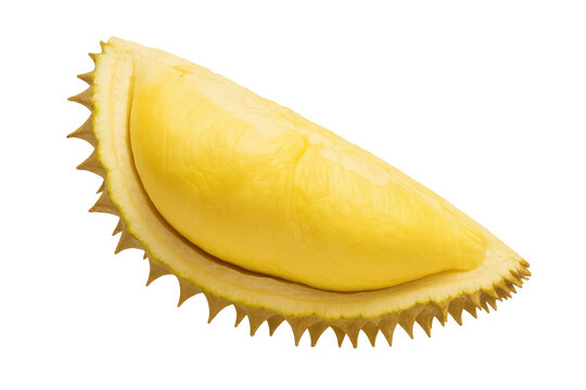 Ripe durian segment revealing creamy yellow interior, positioned on transparent background, highlighting textural details of tropical fruit