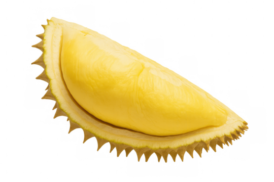 Ripe durian segment revealing creamy yellow interior, positioned on transparent background, highlighting textural details of tropical fruit