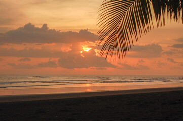 A sunset over the ocean is partially obscured by clouds, with a palm frond in the foreground.