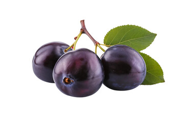 Damson