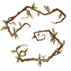 watercolor hand drawn twisted tree branches with green leaves isolated on transparent background. halloween magical tree limb perfect for magic scenes, invitations, frames, storybook design , books