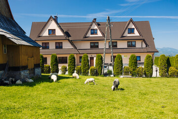 A traditional country house with a spacious green lawn where sheep are peacefully grazing under a...