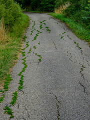 Gras wächst in den rissen einer beschädigten Teerstrasse