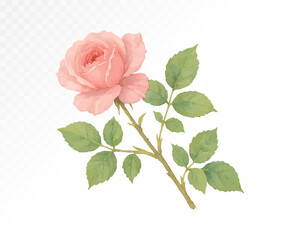 Obraz premium Single soft pink rose with surrounding green foliage, painted in watercolor technique, ideal for romantic and botanical-themed floral artworks. Vector illustration.