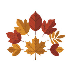 Fototapeta premium Autumn leaves card with golden foliage, maple and oak, elegant arrangement, printable sticker, seasonal design