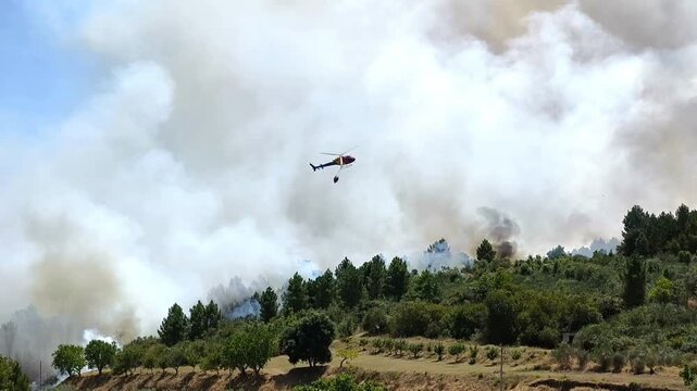 Helic&oacute;ptero a descarregar &aacute;gua para apagar um inc&ecirc;ndio florestal que arde num pinheiral deixando uma grande nuvem de fumo no ar