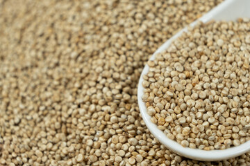 Natural white quinoa in a spoon macro