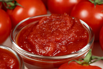 Smooth Tomato Concentrate in Small Sauce Bowls. Culinary Background.