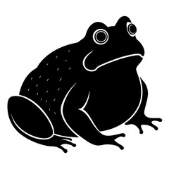 Plump black toad sitting frog amphibian