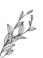 black and white floral background