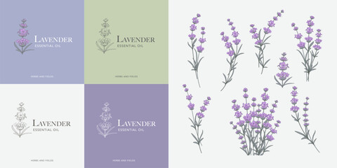 Lavender flower vector logo set . Floral design label