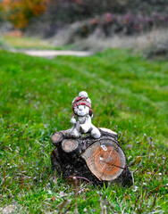 dumped teddy bear toy on a tree trunk