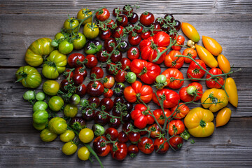 Top view on ripe tomatoes different kind and colors on rustic wooden table close up. Mix of multicolored kind of tomato background