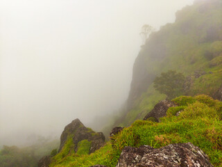 Misty Mountain Landscape With Dense Vegetation