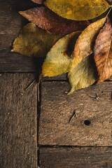 autumn leaves on wooden floor with copy space background