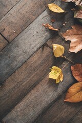 autumn leaves on wooden floor with copy space background