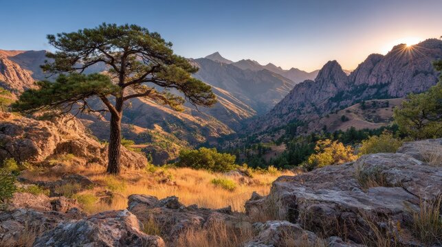 Scenic mountain vista with a solitary pine tree at sunrise.