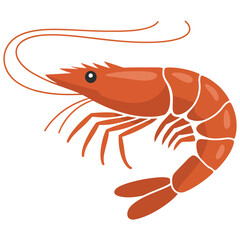 shrimp on a white background