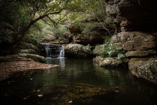 Cascading waterfall within a rocky forest glen.