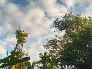 Red bricks neatly arranged on the side of the road