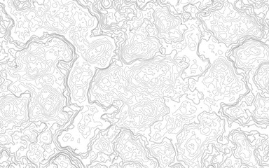 Topographic map background geographic line map with elevation assignments. Design illustration for wall art, fabric, packaging, web, banner, wallpaper. 