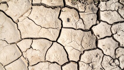 Fototapeta premium Dry Cracked Earth Texture with Brown Arid Soil Under Sunlight with No People