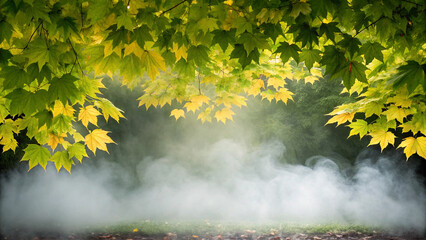 Vibrant autumnal foliage with wispy fog in a peaceful forest setting sunlight