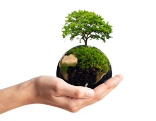 hands holding a green earth