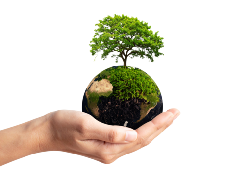 hands holding a green earth