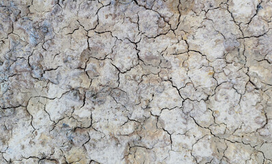 The ground has cracks in the top view for the background