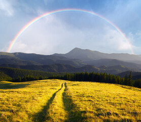 Amazing scene in summer mountains. Lush green grassy meadows in fantastic evening sunlight. Rural...