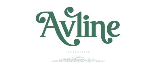 Beauty Luxury font alphabet logo. Typography beautiful fashion elegant classic letters serif italic fonts decorative wedding vintage retro logos. vector illustration