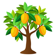 mango tree