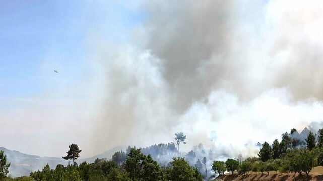 Inc&ecirc;ndio florestal em meio a uma densa floresta com avi&otilde;es bombeiros a sobrevoarem o local para descarregar &aacute;gua sobres as labaredas que deixam muito fumo no ar