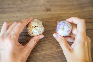 Female hands holding regular multi clove garlic in one hand and Chinese single clove garlic in the other. Concept of ingredient comparison and cooking choice.