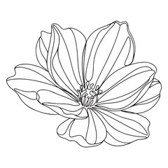 Minimalist black and white continuous line art illustration of a beautiful flower with elegant petals and detailed center, a versatile graphic design element.