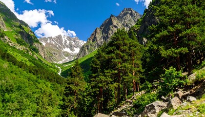 Mountain valley scene under a clear sky
