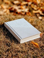 A minimalist off-white hardback book rests on a bed of dry grass and fallen autumn leaves, bathed in soft natural light; suggesting tranquility and reflection