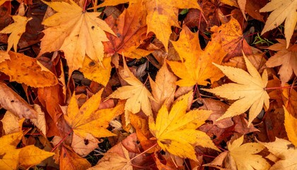 Obraz premium Vibrant Orange and Yellow Maple Leaves Covering Forest Floor in Autumn Season
