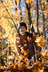 Little boy enjoys warm fall sun in park full of yellow maple leaves. Autumn day captured with joyful vibe, nature fun, and golden foliage all around