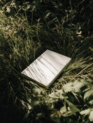 A blank, off-white book rests nestled in tall, green grass, partially obscured by foliage, casting subtle shadows in dappled sunlight